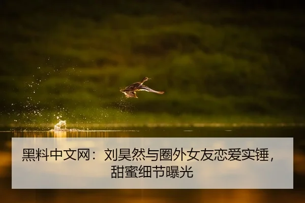 黑料中文网：刘昊然与圈外女友恋爱实锤，甜蜜细节曝光